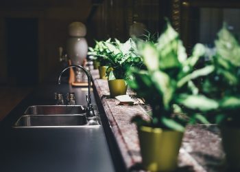 The Ultimate Guide to Must-Have Kitchen Tools and Gadgets