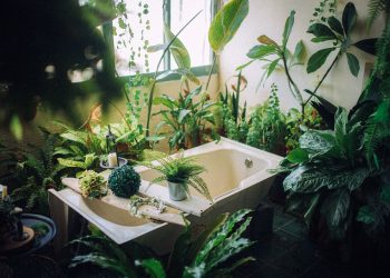 Transform Your Bathroom into a Spa Oasis with the Right Tools